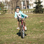 autumn2016-02674.jpg