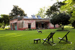 Pampas