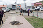 Ulaanbaatar