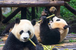 Chengdu