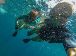 Snorkelling