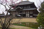 Nara