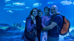 L'Oceanogràfic