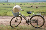 Transport