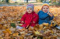 autumn 2011