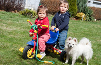 spring time, 2012