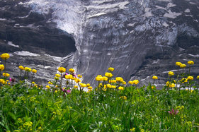 Switzerland