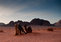 after 2 hours of camel ride